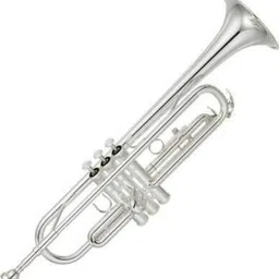 sheery Standard TRUM-34 Silver Bb Trumpet for Beginner or Advanced - Musical instrument Standard TRUM-34 Silver Bb Trumpet for Beginner or Advanced- Musical instrument Bb Trumpet-picture-14