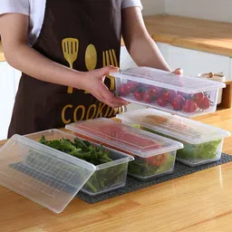 shreejee Plastic Freezer Storage Containers for Fish, Meat, Vegetables, Fruits x4.23 Storage Basket image 2