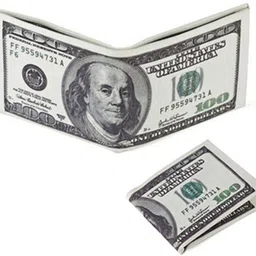 padmavathi enterprises Men & Women Casual White Canvas Wallet-picture-27