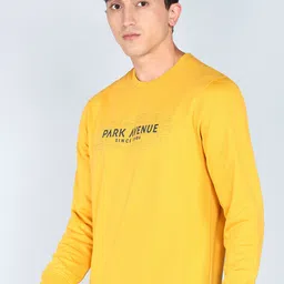 park avenue Men Full Sleeve Printed Sweatshirt image 3