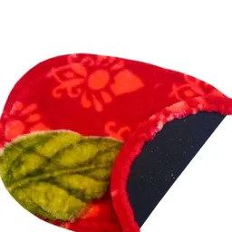 rylie Polyester Door Mat image 2