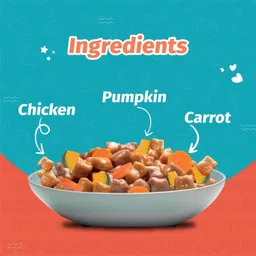 petstar Mankind Adult Wet Dog Food | Chunky Chicken Gravy | 100g+20g Free (Pack of 15) Chicken 1.8 kg (15x0.12 kg) Wet Adult, Senior Dog Food image 5