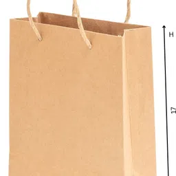 greennest Brown Paper Bag 13x17x4 | With Handle | 100GSM (25pcs-1P) Grocery Bag-picture-31