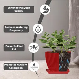 snshopee 5 Premium Square Pots with tray flower plant pots gamle vase planters Plant Container Set image 2