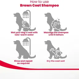 beaphar Conditioning, Anti-dandruff, Anti-fungal, Whitening and Color Enhancing Natural Dog Shampoo image 5