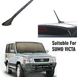 gs grow n shine Standard Quality Car Roof Decorative Show Antenna With Adhesive Tape (Sms_044) Whip Vehicle Antenna image 1