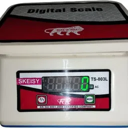 Skeisy weighing ts-803-L weighting machine and double display and load indicator Weighing Scale-picture-23