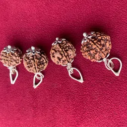 rudraksham 6 Mukhi Nepali Rudraksha Pendant With Certificate Of Authenticity (Set of 4) Silver Brass Locket Set image 5