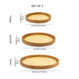 habereindia (Set of 3) Classic & Rattan Ceramic Serving Tray (Yellow) image 2