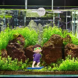 jainsons pet products 2 Pcs Surfing Boy Floating Fish Playmate Aquarium Tank Decorations Toy Aquarium River Rock Planted Substrate image 3