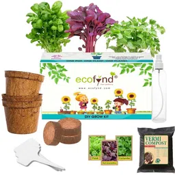 Ecofynd 3 In 1 Diy Leafy Vegetable Grow Kits: Red Amaranth Spinach & Coriander Gardening Kit image 1