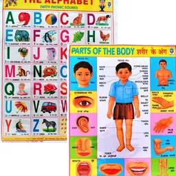 beboo sales and services Combo Pack: ABC Alphabet Learning Chart + Human Body Parts Chart for Kids (Durable & Laminated) Photographic Paper-picture-18