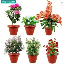 greenstore Plant Container Set image 5