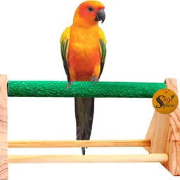 sage square 11 " / 28 cm Natural Wooden Table Playful Climbing cum Training Perch Bird Sand Stand / Bird Toy Wooden Perch, Training Aid, Stick For Bird-picture-21