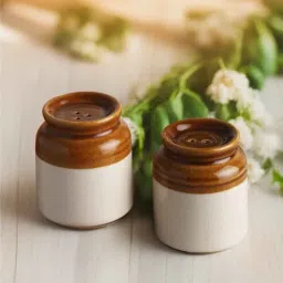 the decor lane Tasteful Twins Brown & White Ceramic (Set of 2) Salt & Pepper Shaker-picture-13