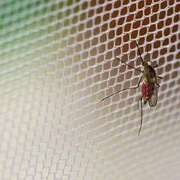 ya enterprise Baby mosquito crib blue HDPE - High Density Poly Ethylene Washable Infants Mosquito Net image 3