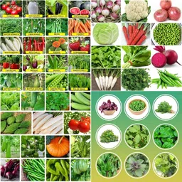 ibains Rainy season vegetable seeds combo biij 236 Seed image 3