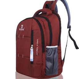 bluejay Large 40 L Backpack 40L Casual Laptop Backpack School/College/Office/Travel Bag For Men & Women image 4