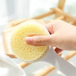 kvvtrades Bath Body Brush with Soft Comfortable Bristles Long Handle (Pack of 3) image 4