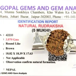 jupiter speaks 5 Mukhi Rudraksha Pendant With Lab Certificate Nepali Bead Size 18-19 mm Unisex Silver Wood Pendant-picture-14