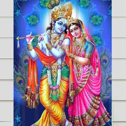 decomizer 214 cm (7 ft) Polyester Room Darkening Door Curtain Single Curtain-picture-27