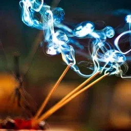 cstvi Original Black Dragon Mosquito /Repellent Incense sticks (120, Set of 1) Citronellna/Neem image 2