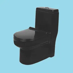vardhman ceramics One Piece Water Closet Floor Mounted EWC for Toilet S Trap Distance 215mm Color Western Commode image 2