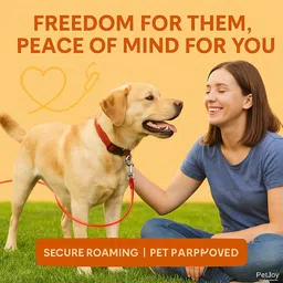 petjoy Stainless Steel Tie-Out Cable/Leash for Dogs -12 Feet (Color may vary) 360 cm Dog Cord Leash image 4