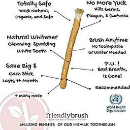 tajhub Miswak Sticks for Teeth | A Manual Toothbrush Ultra Soft Toothbrush image 2