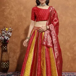 apnisha Self Design Semi Stitched Lehenga Choli-picture-44