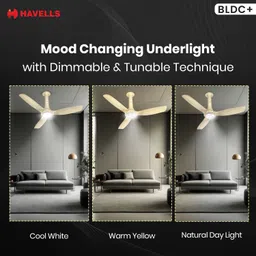 havells Inox UL BLDC with 2 Year Warranty 1200 mm Ceiling Fan image 4