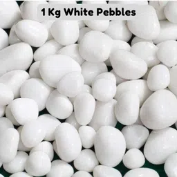 garden nest White Pebbles - Elegant Aquarium Decor Carved Oval Rock Pebbles-picture-28