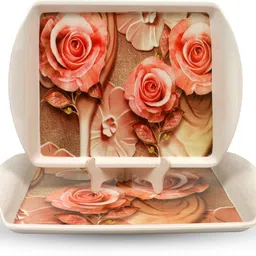 globenox GNX-546-RCT-TRY-M1-PC2 Tray-picture-14