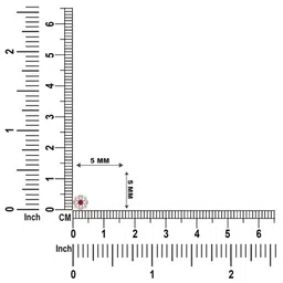 dishis 18K/14K Yellow/Rose/White Gold Nose Pin(Screw) for Women image 4