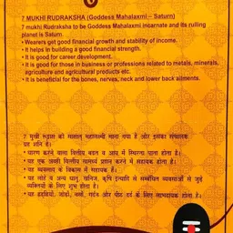 rudram Original 7 Mukhi Rudraksha Bead with Silver Cap |Necklace for Men & Women Wood Locket Set image 4