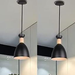 gauvik Pendants Ceiling Lamp-picture-1