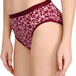 lux cozi Pack of 2 Women Hipster Multicolor Panty image 3