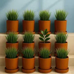 the handicraftian 12 Pcs Red Terracotta 6 Inchs Planters-picture-15