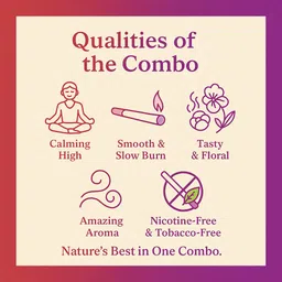 herbacco 12g Twins Smoking Cessations image 2