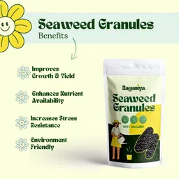 baganiya Seaweed Extract Granules Fertilizer for Plants Fertilizer, Manure, Potting Mixture image 3