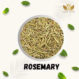 gaurveda Rosemary Dried Leaves Seed image 3
