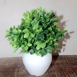 cheshta enterprises Artificial Plant with Pot-picture-22