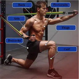 oddish 11 in 1 Resistance Bands Set for Exercise, Stretching, and Workout Toning Tube Resistance Tube image 4