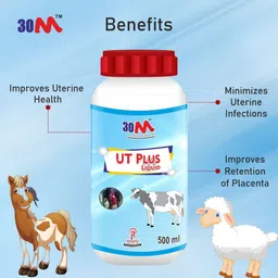 30m Uterine Tonic for Cow Sheep Pig Mare Buffalo - Abroma Augusta, Moringa Oleifera, Gloriosa Superba, Adhatoda Vasica Pet Health Supplements image 3