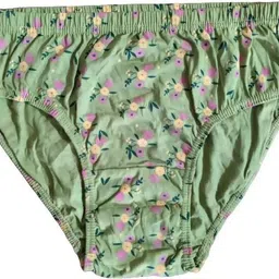 lux cozi Pack of 4 Women Hipster Multicolor Panty image 3