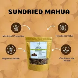 herbalprash Madhuca Longifolia, Illipe Dried Flower, Mahua Fruit, Aromatic & Antioxidant-Rich Seed image 3