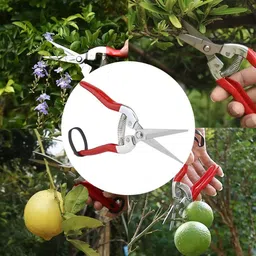 a&s toolshop Manual Pruning Branch Scissors Floral Secateurs for Garden Pruning Bypass Pruner image 4