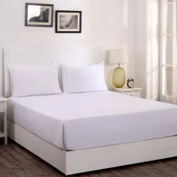 White Solid 300 TC Cotton 1 Double King Size Bedsheet with 2 Pillow Covers by Maspar-picture-34