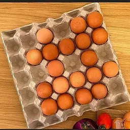 touchmi Egg holder Egg Holder-picture-29