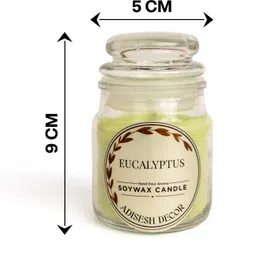 adisesh decor Eucalyptus Yanky Candle Candle image 4
